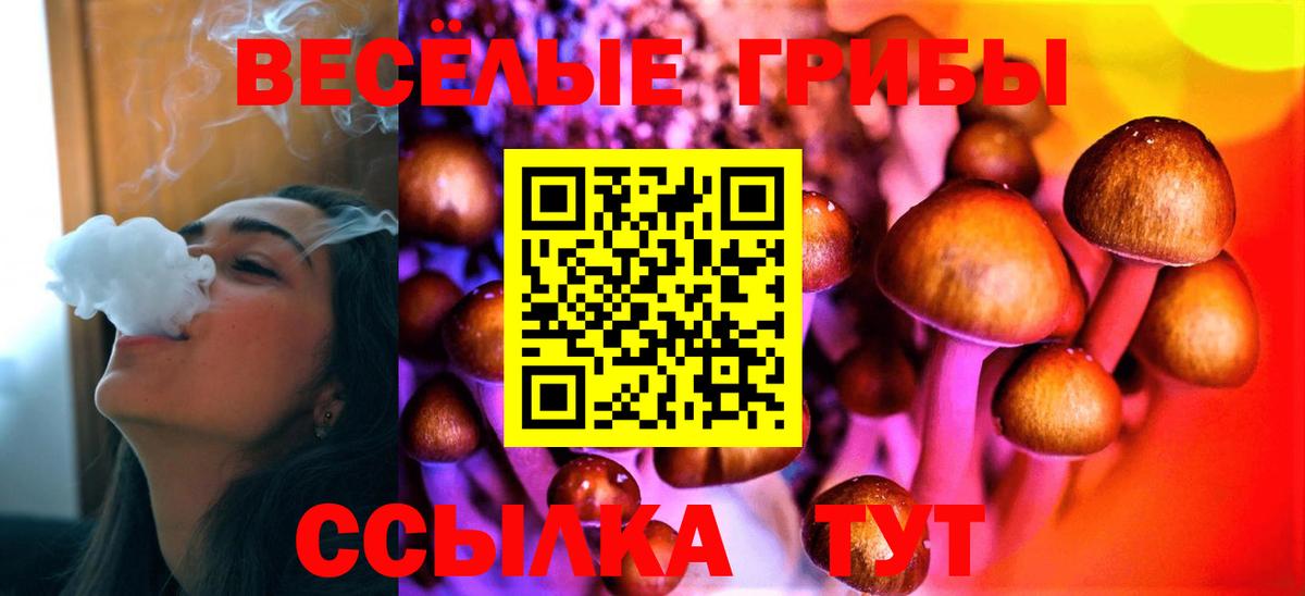 Псилоцибиновые грибы прущие грибы Белогорск